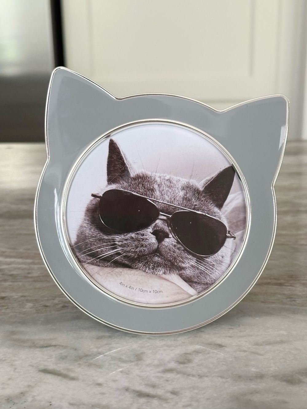 4x4 Round Kitty Cat Picture Frame - Grey & Silver - Picture 2 of 12